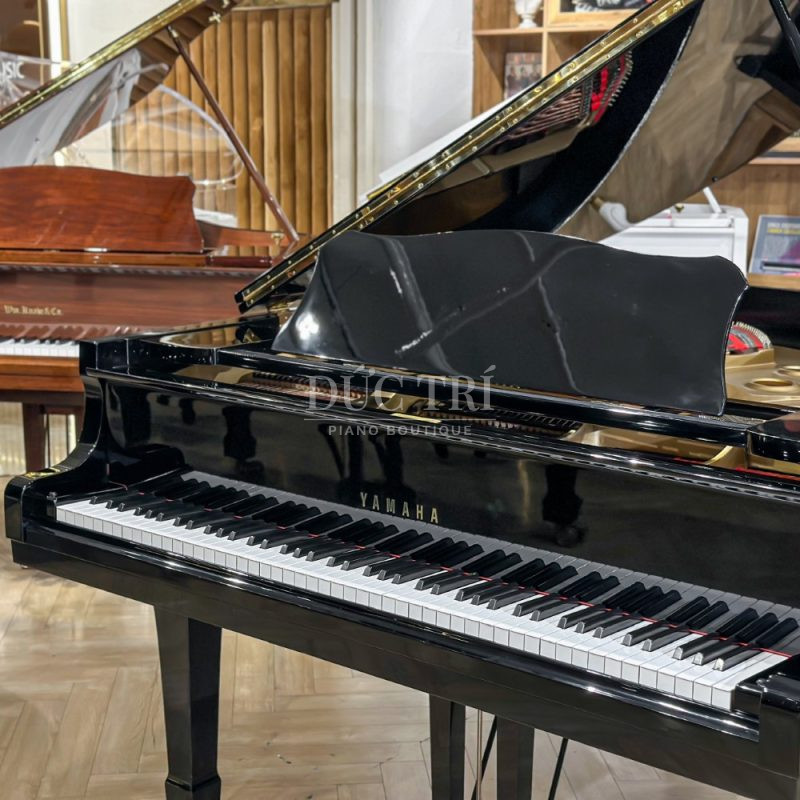 Logo Yamaha và phím đàn trên đàn Yamaha G2E