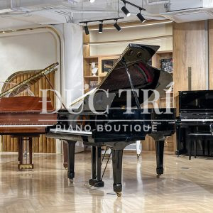 Màu đen trên Yamaha G2E