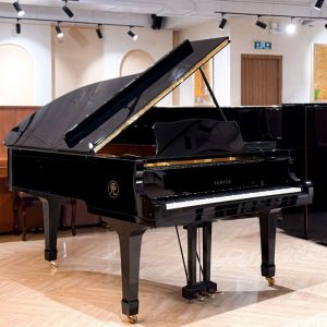 Màu đen trên đàn Yamaha C5A