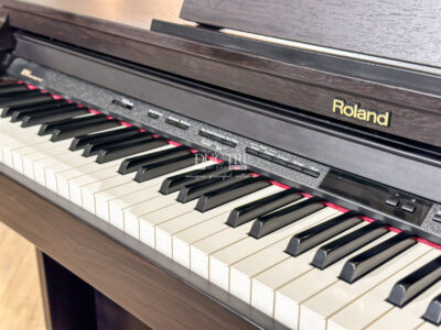 Đàn Piano Điện Roland HP-503 giá rẻ tại Đức Trí