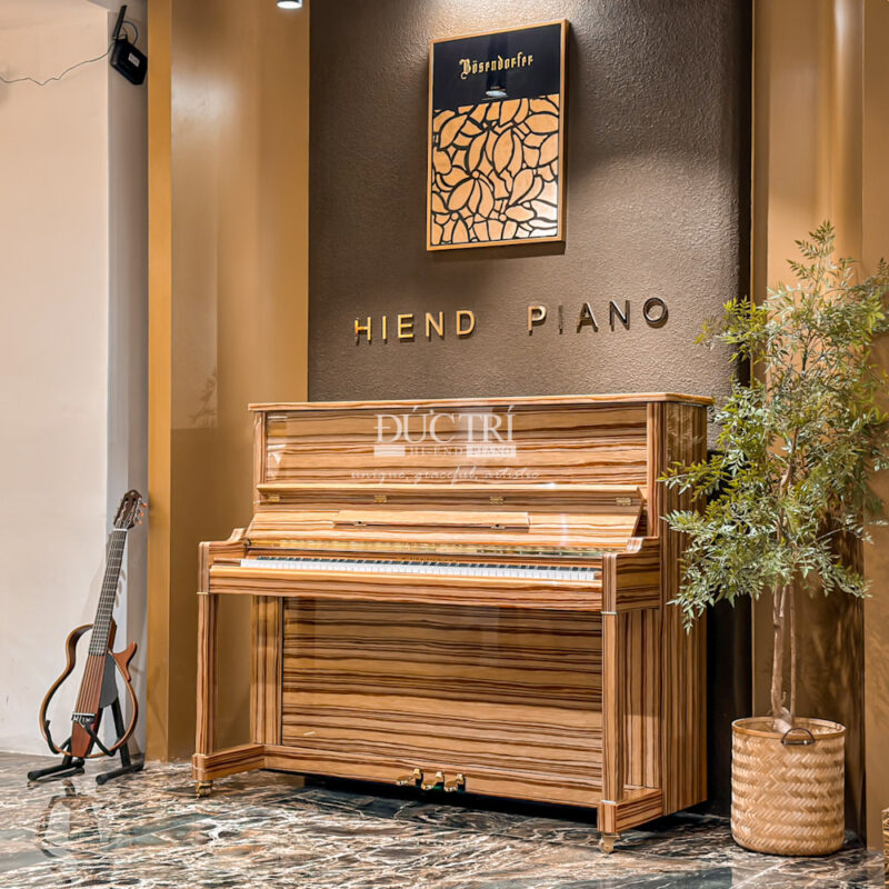 Đàn piano Schweighofer up126 cao cấp tại Piano Đức Trí