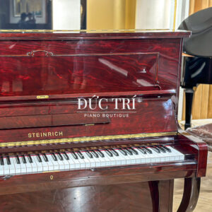 Thùng đàn steinrich s17