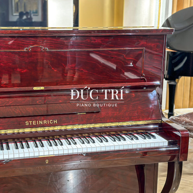 Thùng đàn steinrich s17