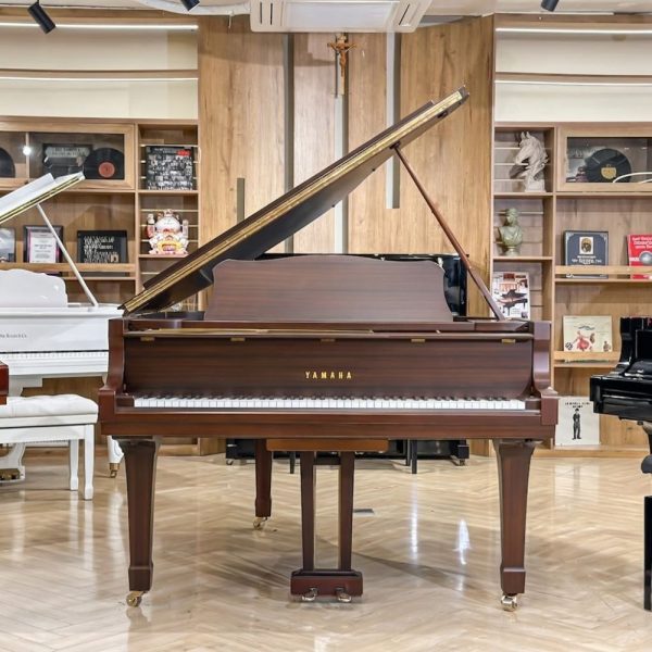 Yamaha C3B Walnut
