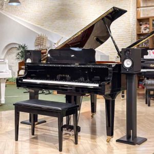 Yamaha DGB1K