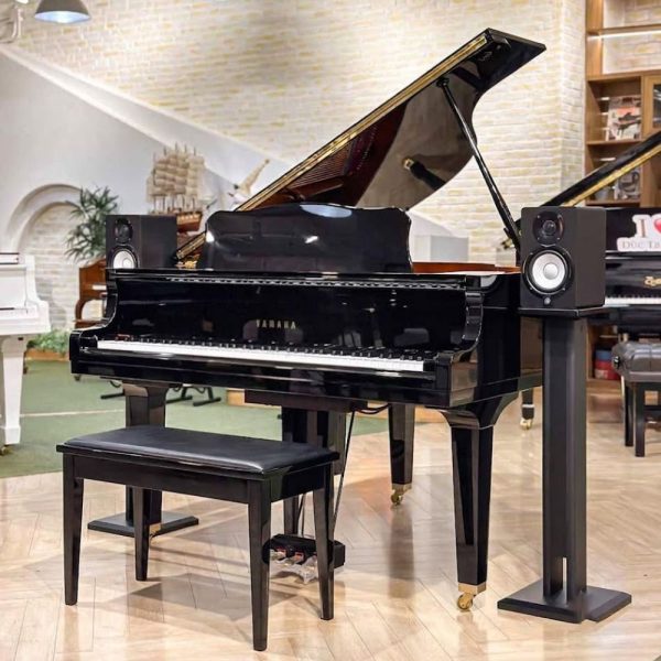 Yamaha DGB1K