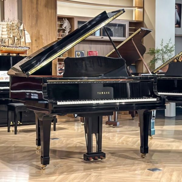 Yamaha G1E