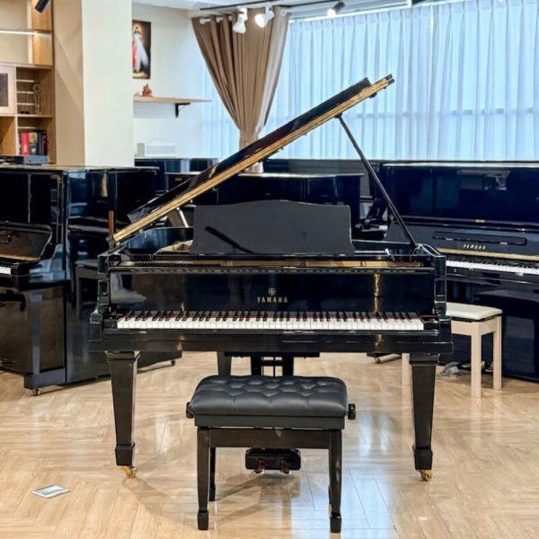 Yamaha G2E