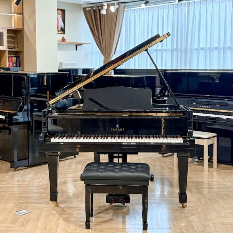 Yamaha G2E