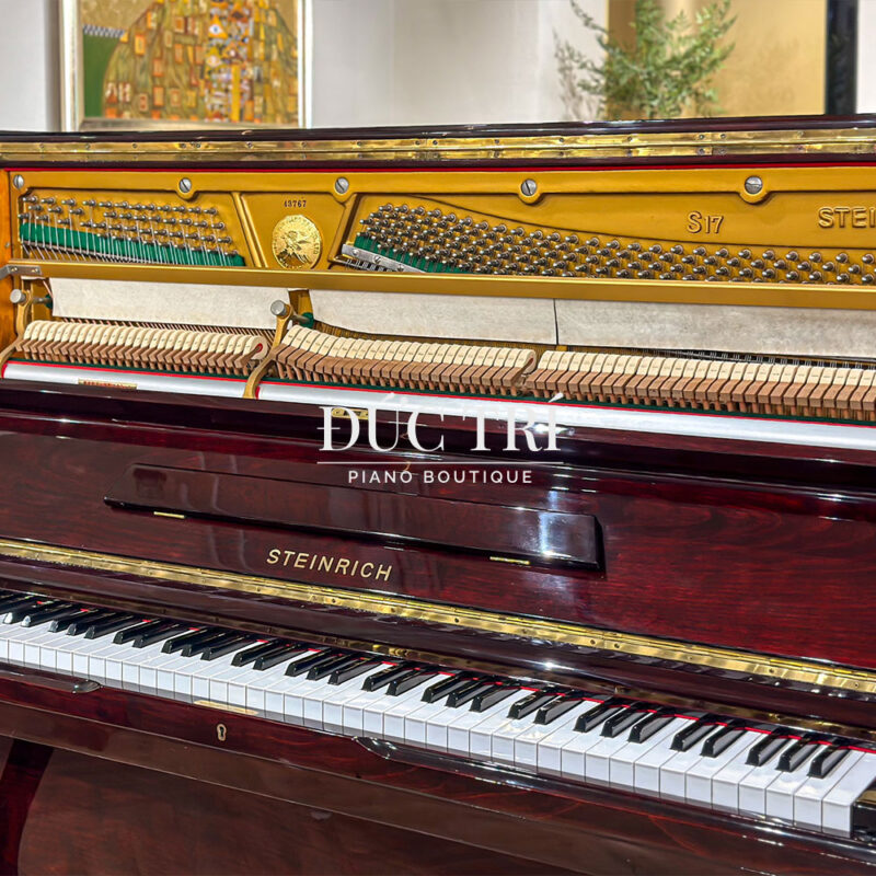 máy đàn piano steinrich s17