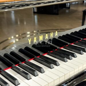 Bàn phím Đàn Piano Yamaha C3X