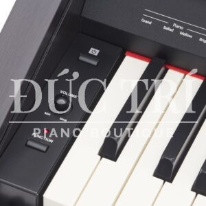 Bảng điều khiển trên Roland RP30