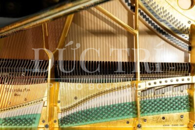 Bộ dây đàn piano Bosendorfer Secession