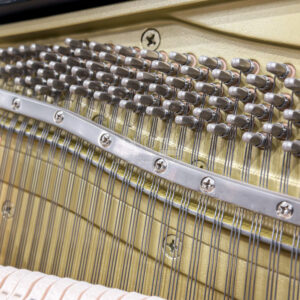 Yamaha YUS3SG sở hữu Dây đàn thép tĩnh điện chống gỉ giúp duy trì âm sắc ổn định lâu dài