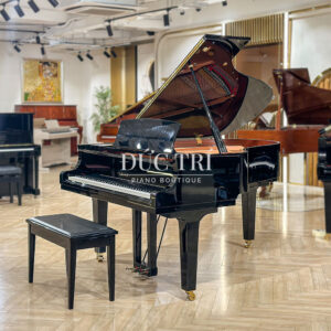 Đàn Piano Yamaha C3X Đức Trí Piano Boutique