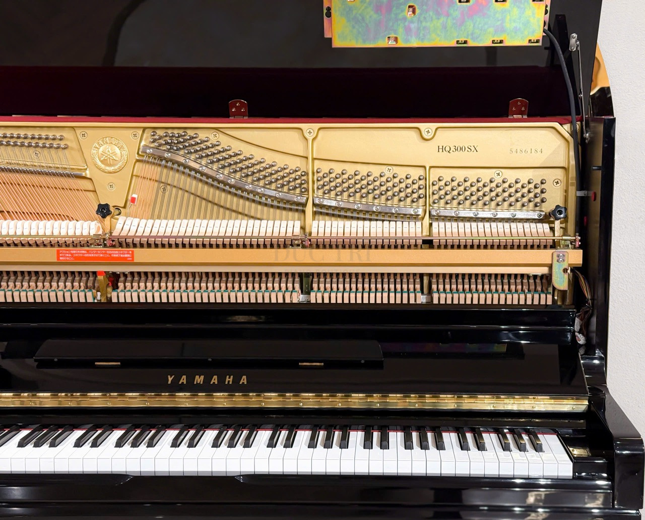 Dan Piano Yamaha HQ300SX Piano Duc Tri 6 yamaha hq300sxg Đàn Piano Yamaha HQ300SX
