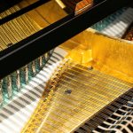 Dây đàn Bosendorfer Secession