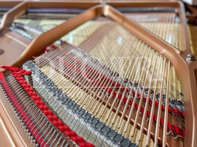 Dây và búa đàn piano Yamaha C3X Whithe New