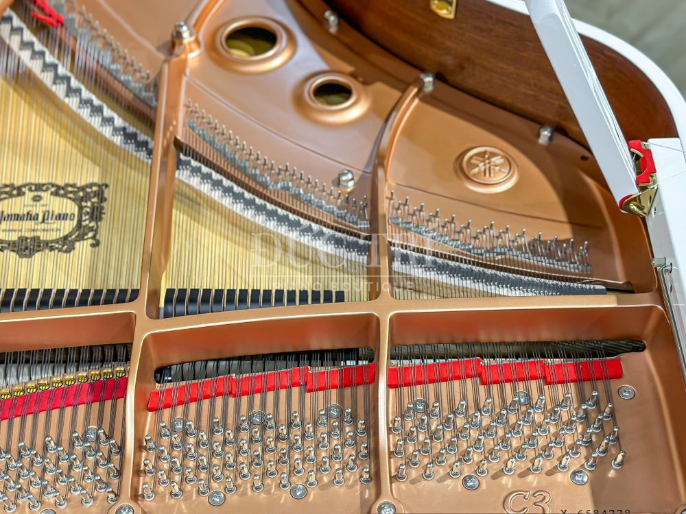 Dây và nút chỉnh dây đàn piano Yamaha C3X Whithe New