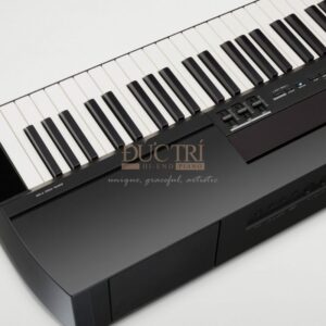 Góc cạnh của Đàn Piano Yamaha P-255