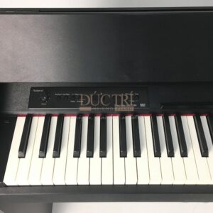 Hình ảnh bàn phím Đàn Piano Roland F120