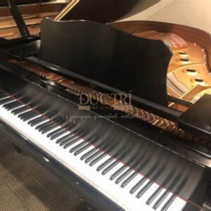 Hình ảnh bàn phím Đàn Piano Yamaha C5L