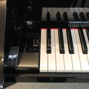 Hình ảnh bàn phím Đàn Piano Yamaha DGP 7