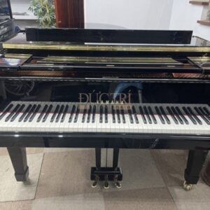Hình ảnh của đàn Piano Yamaha C5L