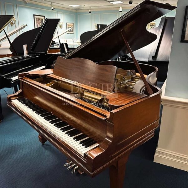 Hình ảnh đàn Piano Bluthner 279