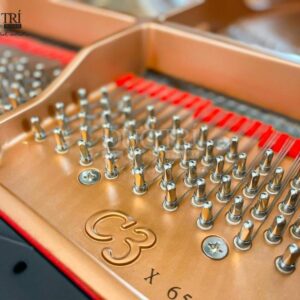 Kí hiệu trên chiếc đàn Yamaha C3X