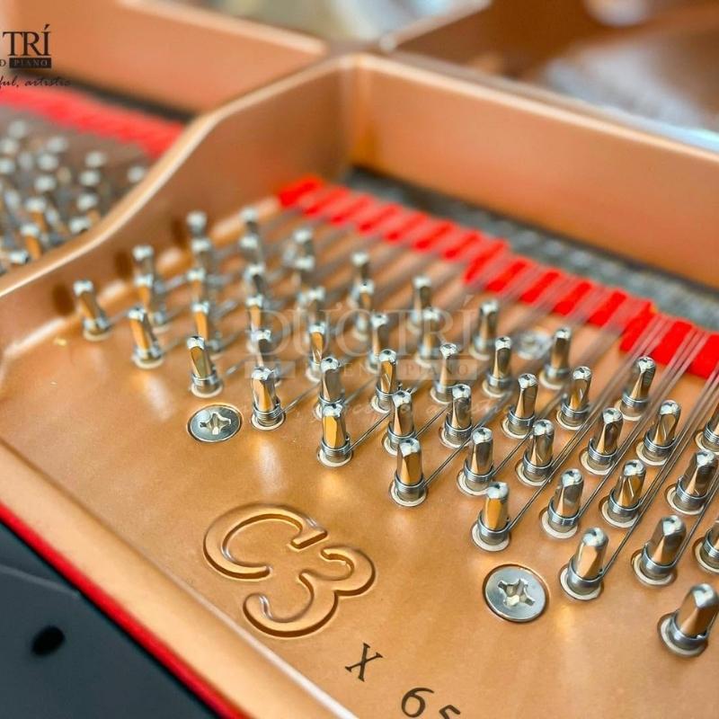 Kí hiệu trên chiếc đàn Yamaha C3X