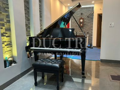 Mặ trước đàn Kawai KG-3D