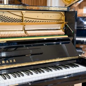 Model và số seri bên trong đàn Yamaha U1A