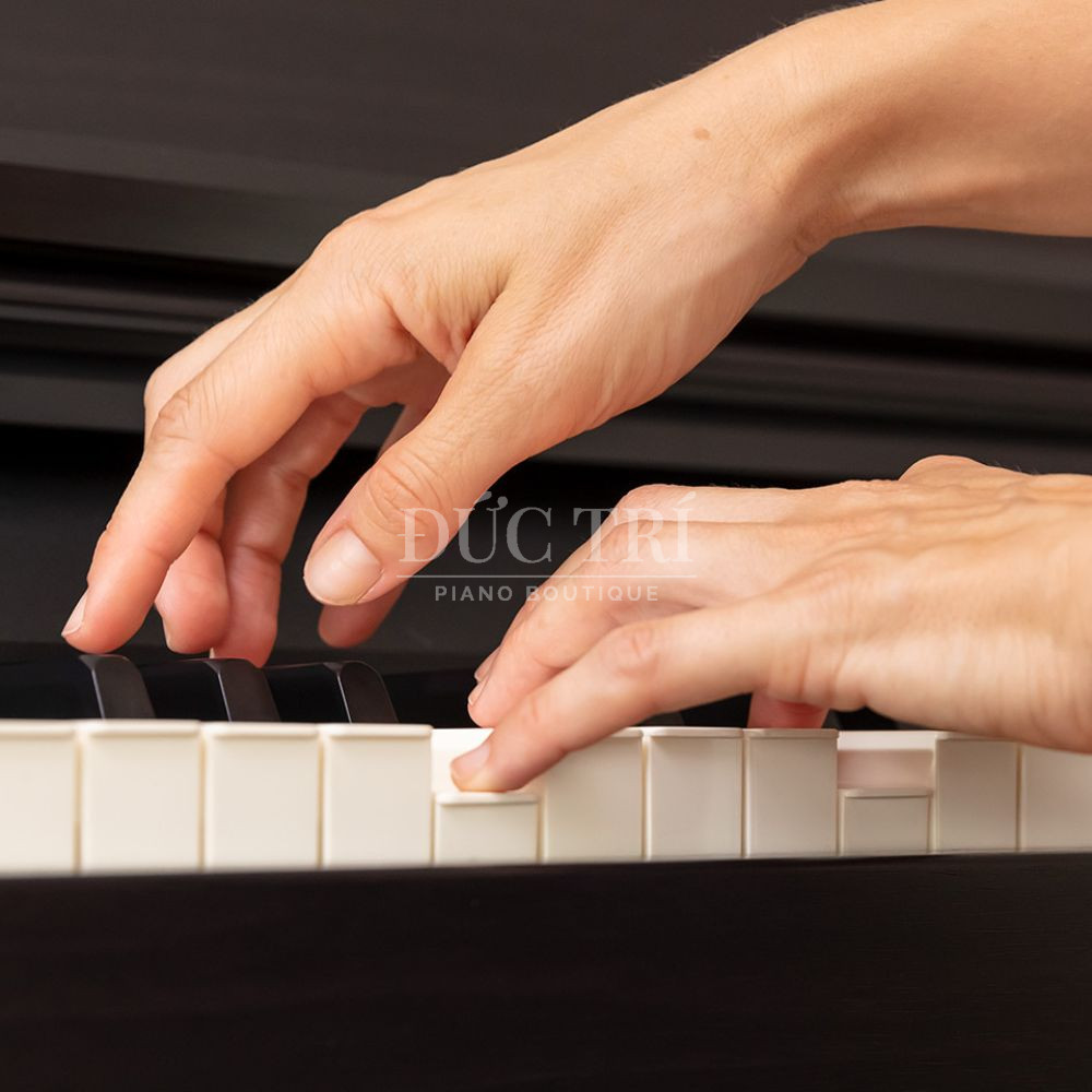 Phim dan cua dan piano Roland RP30 Roland RP30 Phím đàn của đàn piano Roland RP30