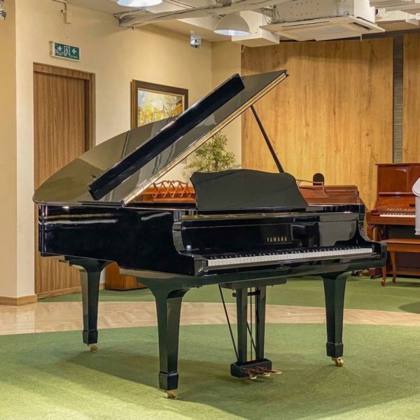 Yamaha C3E