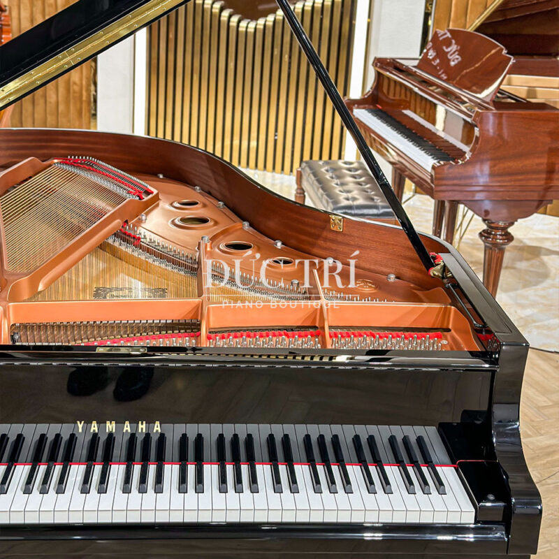 Yamaha C3X New Fullbox tại Đức Trí Piano Boutique