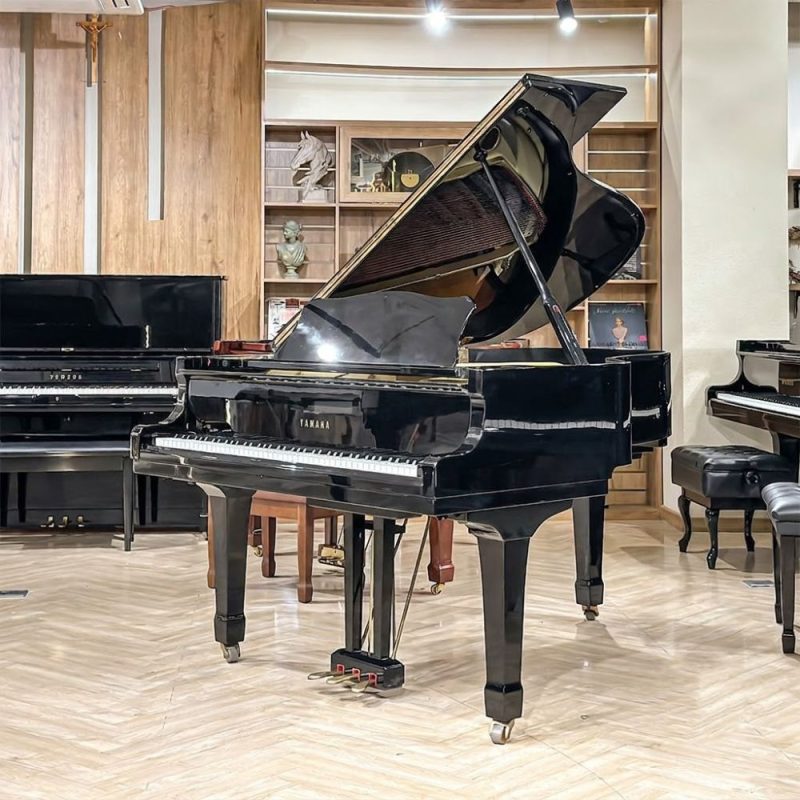 Đàn Yamaha G3E