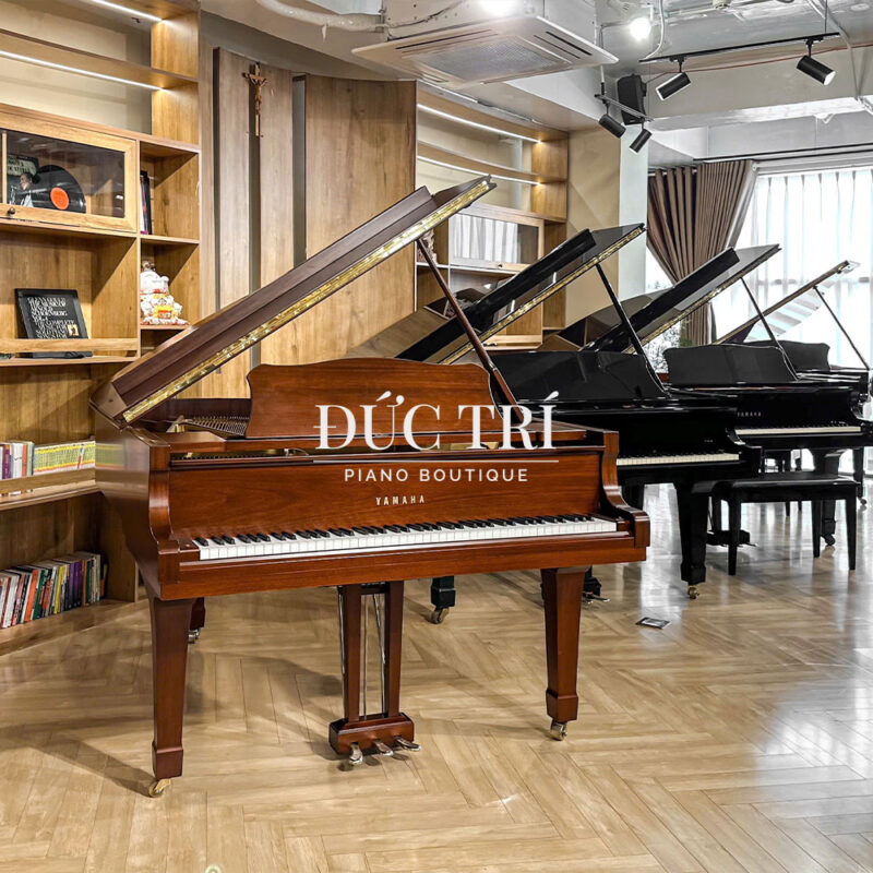 Đàn Grand Piano Yamaha C3B Màu gỗ 3 pedals đức trí piano boutique