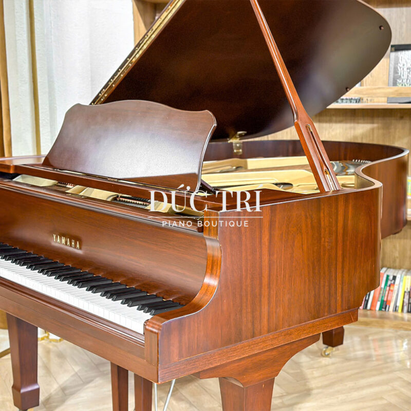 Yamaha C3B Màu gỗ óc chó