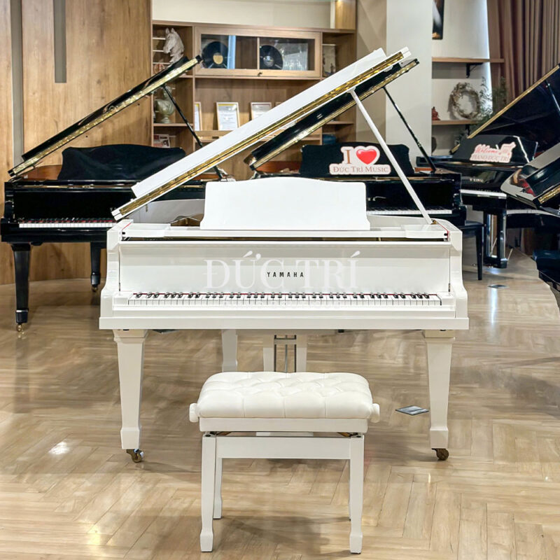 Yamaha G2 màu trắng