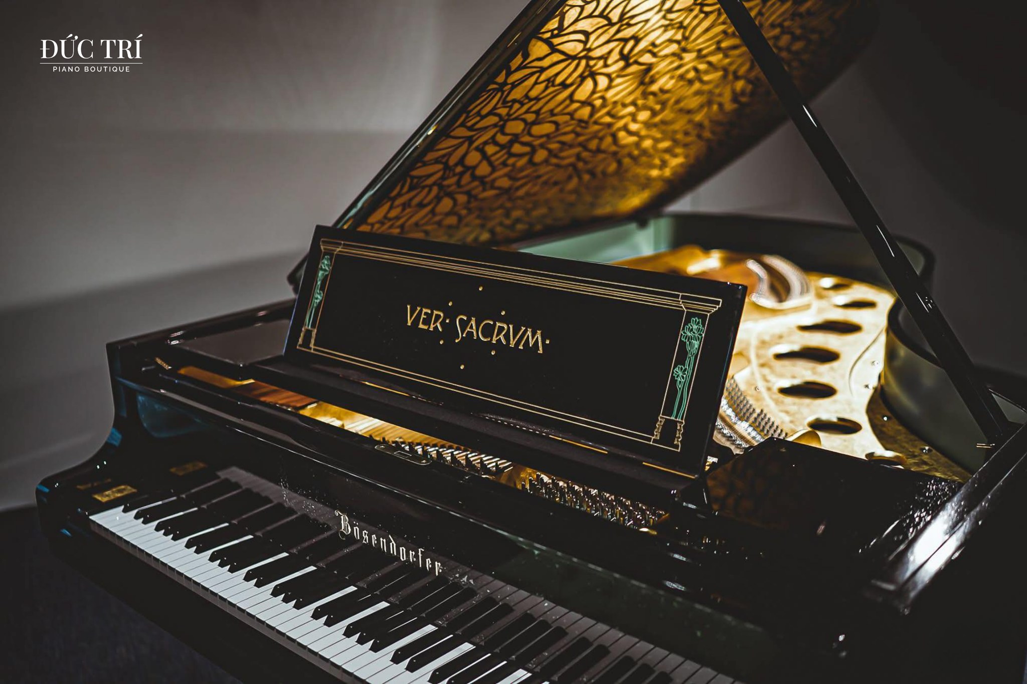 ĐÊM NHẠC VIPCF APPRECIATION CONCERT | TP. HCM | 24.08.2025 2 Cây đại dương cầm Bösendorfer 214VC Secession