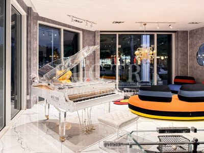 Mặt bên của đàn Grand Piano Crystal Schreiner & Söhne SG168