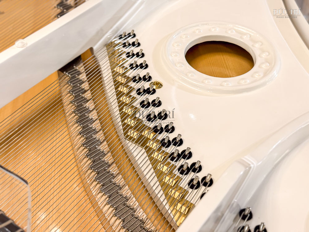 Schreiner & Sohne Crystal SG168 tại showroom Piano Đức Trí