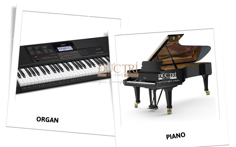 So sánh đàn Piano và Organ nên chọn loại nào phù hợp?