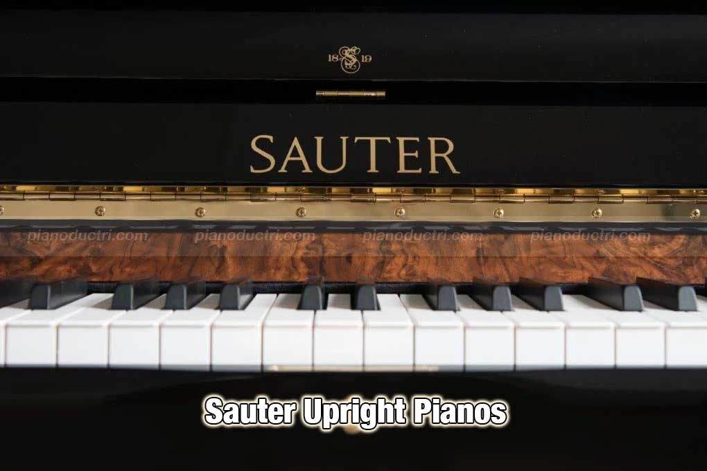 Sauter Upright Pianos So sánh đàn piano Sauter và Bösendorfer Sauter Upright Pianos So sánh đàn piano Sauter và Bösendorfer