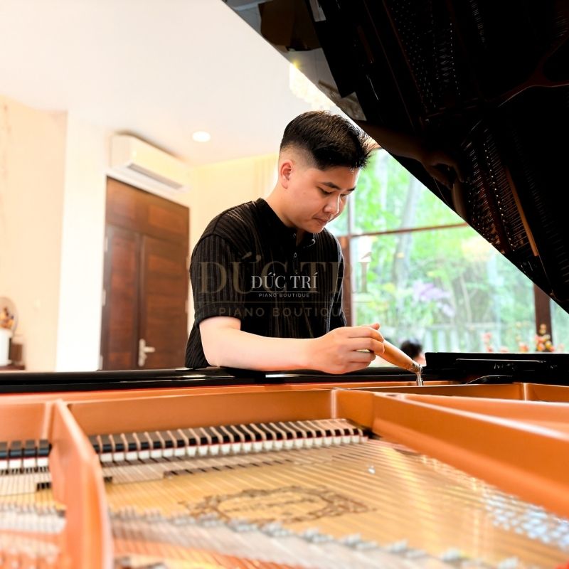 Chuyên viên sửa đàn của Đức Trí Piano Boutique