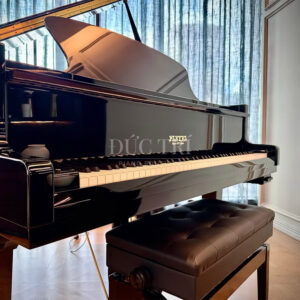 Đàn Piano Pleyel P170 giá rẻ trung quốc