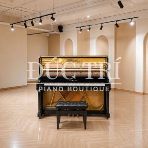 Đàn Yamaha YUS5 lộ bộ máy bên trong