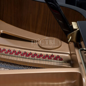 Frame Schreiner GP150