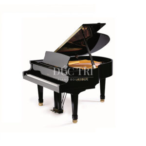 Đàn Piano Petrof P159